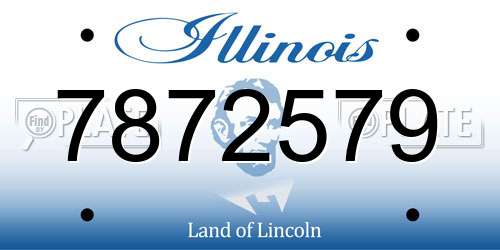 7872579 Illinois License Plate