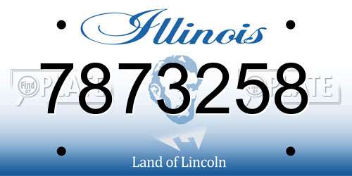 7873258 Illinois License Plate