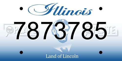 7873785 Illinois License Plate