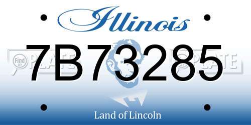 7B73285 Illinois License Plate
