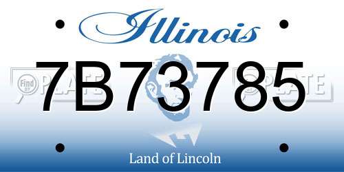 7B73785 Illinois License Plate