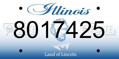 8017425 Illinois License Plate
