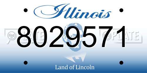 8029571 Illinois License Plate