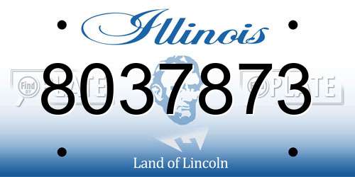 8037873 Illinois License Plate