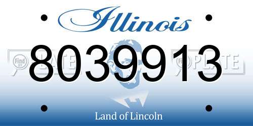 8039913 Illinois License Plate