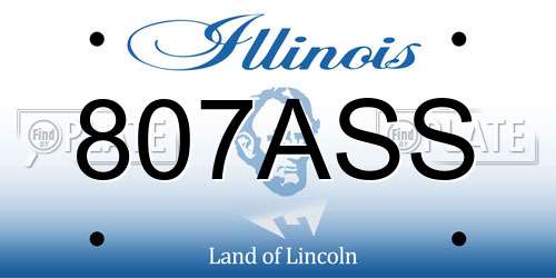 807ASS Illinois License Plate
