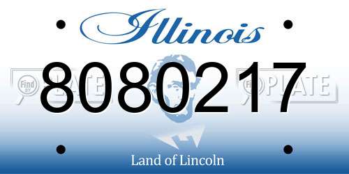 8080217 Illinois License Plate