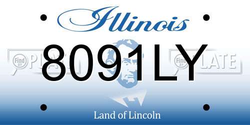 8091LY Illinois License Plate