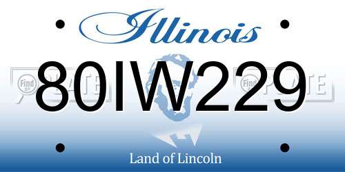 80IW229 Illinois License Plate