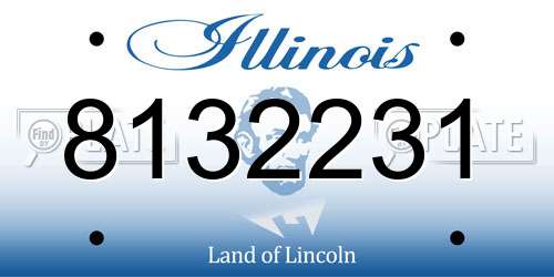 8132231 Illinois License Plate
