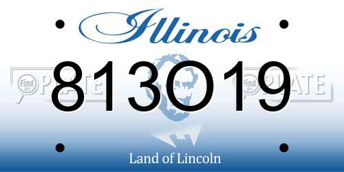 813O19 Illinois License Plate