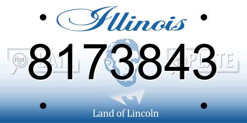 8173843 Illinois License Plate