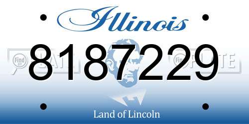 8187229 Illinois License Plate