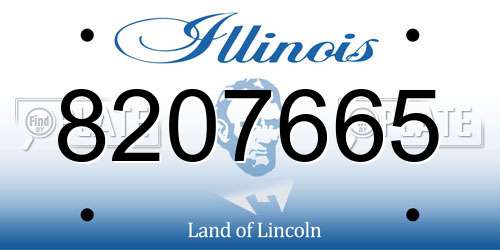 8207665 Illinois License Plate