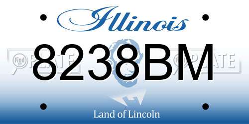 8238BM Illinois License Plate