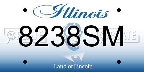 8238SM Illinois License Plate