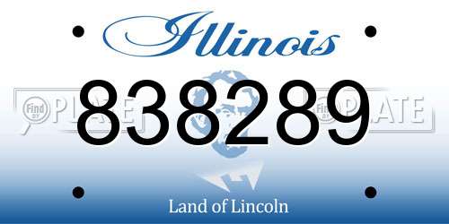 838289 Illinois License Plate