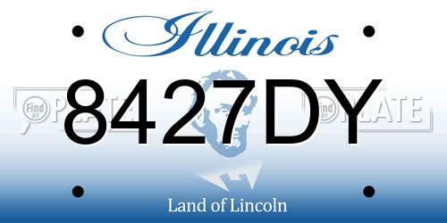 8427DY Illinois License Plate