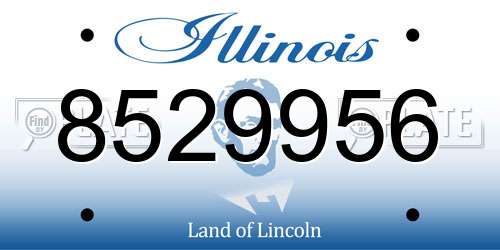 8529956 Illinois License Plate