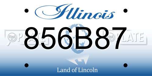 856B87 Illinois License Plate
