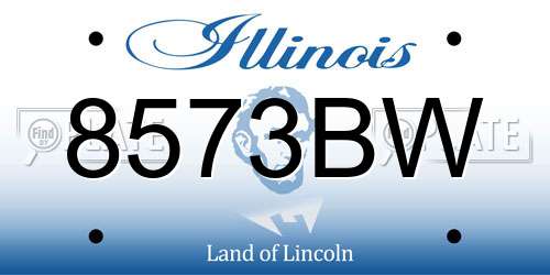 8573BW Illinois License Plate