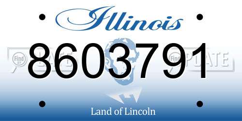 8603791 Illinois License Plate