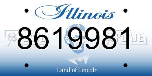 8619981 Illinois License Plate