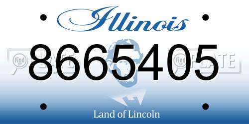 8665405 Illinois License Plate