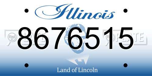 8676515 Illinois License Plate