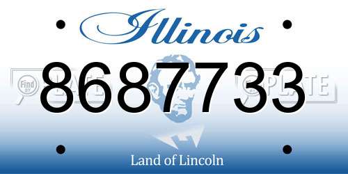8687733 Illinois License Plate