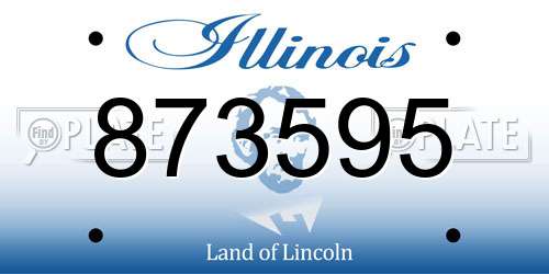 873595 Illinois License Plate