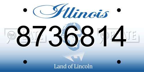 8736814 Illinois License Plate