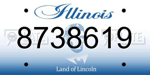 8738619 Illinois License Plate