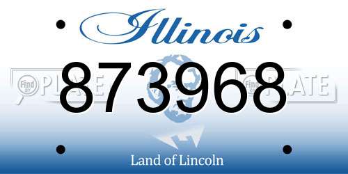 873968 Illinois License Plate