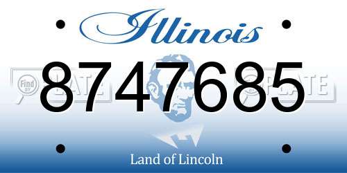 8747685 Illinois License Plate