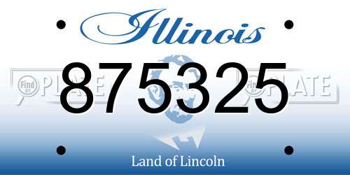 875325 Illinois License Plate