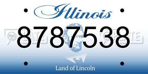 8787538 Illinois License Plate