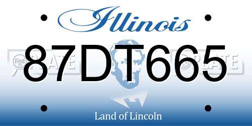 87DT665 Illinois License Plate