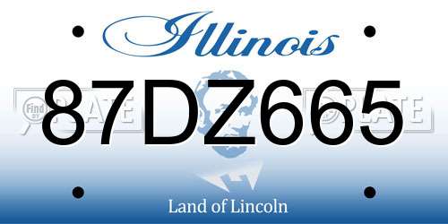 87DZ665 Illinois License Plate