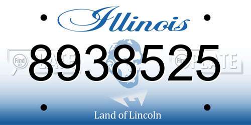 8938525 Illinois License Plate
