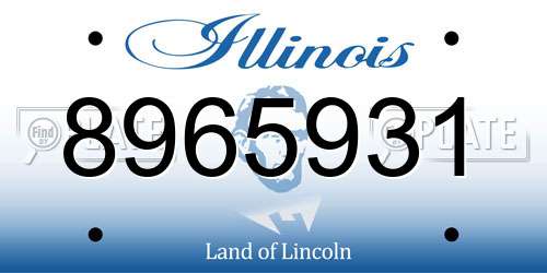8965931 Illinois License Plate