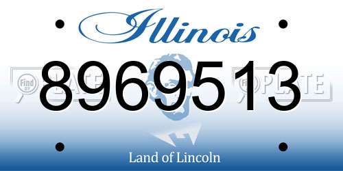 8969513 Illinois License Plate