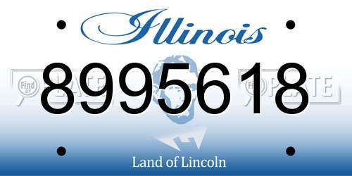 8995618 Illinois License Plate