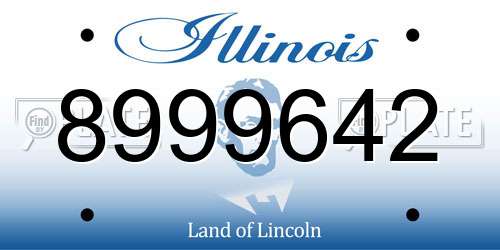 8999642 Illinois License Plate