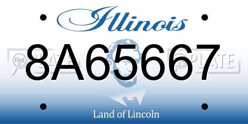 8A65667 Illinois License Plate