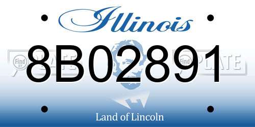 8B02891 Illinois License Plate
