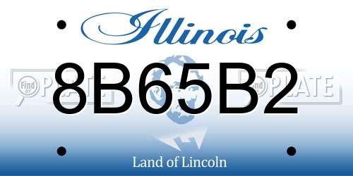 8B65B2 Illinois License Plate