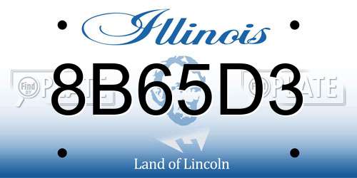 8B65D3 Illinois License Plate