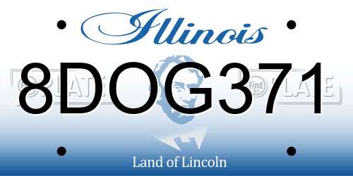 8DOG371 Illinois License Plate