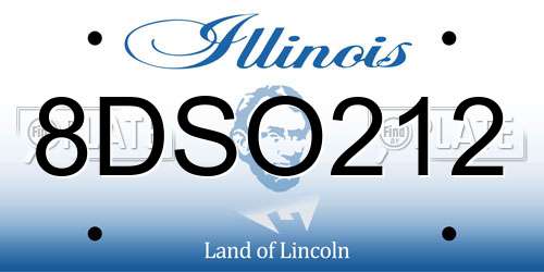 8DSO212 Illinois License Plate
